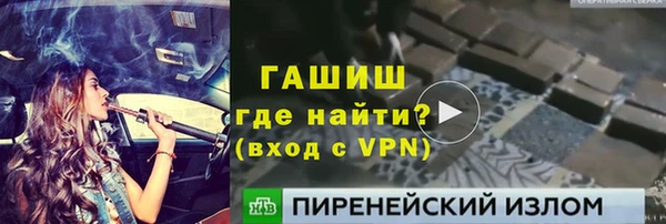 молекула духа Ладушкин