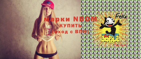 молекула духа Ладушкин
