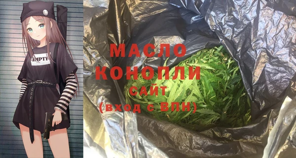 молекула духа Ладушкин