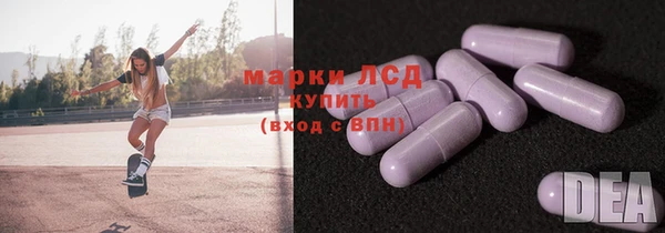 молекула духа Ладушкин