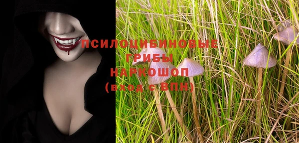 молекула духа Ладушкин