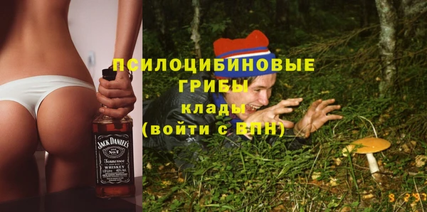 крисы Лабытнанги