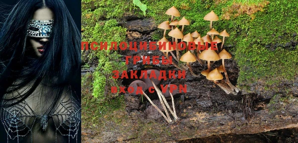 крисы Лабытнанги