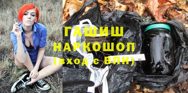 молекула духа Ладушкин
