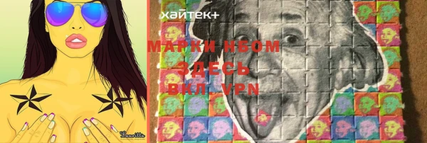 молекула духа Ладушкин