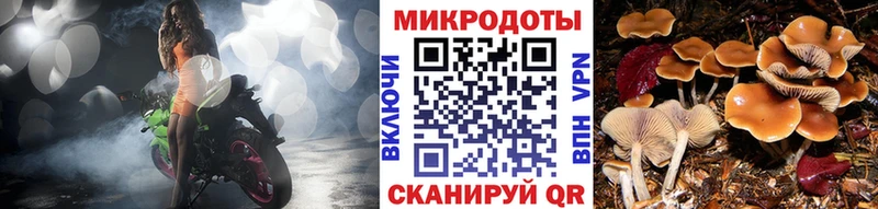 купить закладку Шацк Галлюциногенные грибы ЛСД
